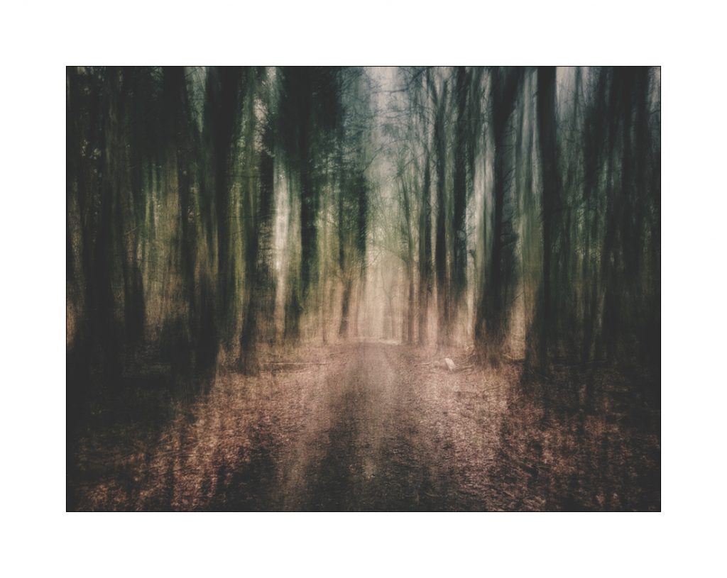 Forest III - Kata Maler